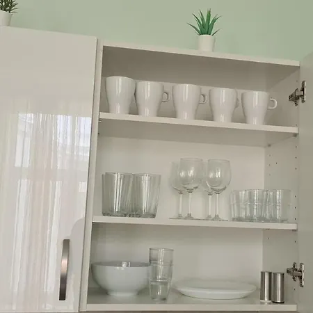 Art Deco One-bedroom In Library House With Free 5g Wifi 公寓 里加