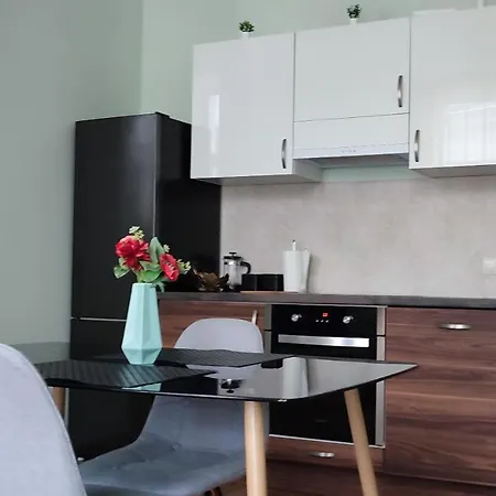 Art Deco One-bedroom In Library House With Free 5g Wifi 里加